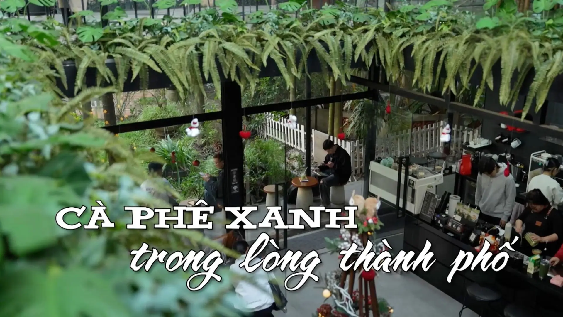 Cà phê xanh trong lòng thành phố | Nhịp sống Hà Nội | 22/12/2025